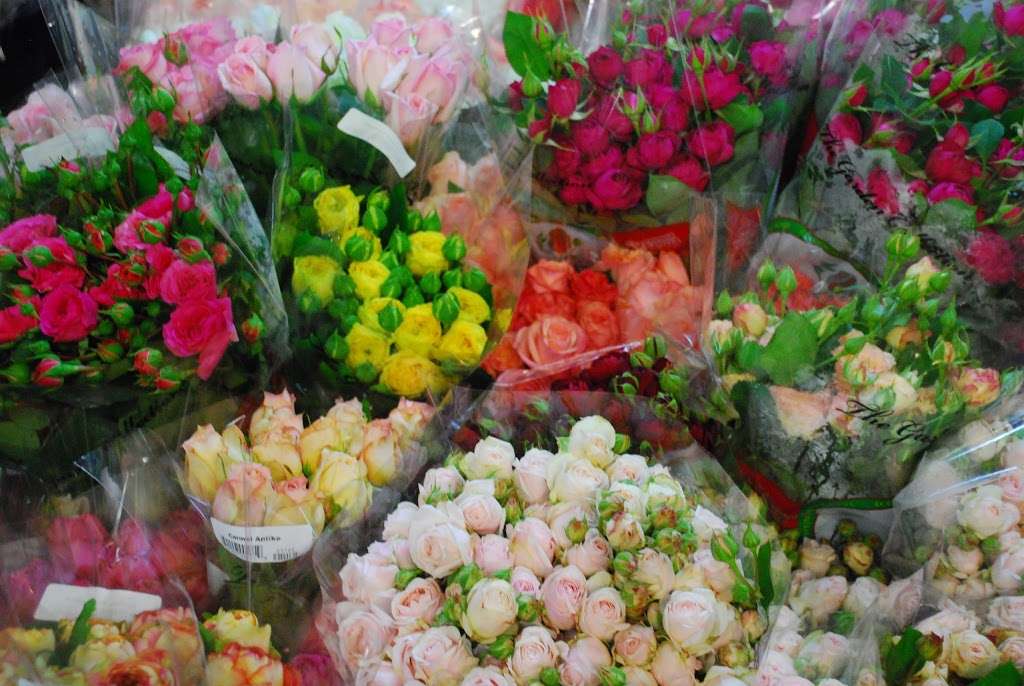 California Pajarosa Floral | 133 Hughes Rd, Watsonville, CA 95076, USA | Phone: (831) 722-6374