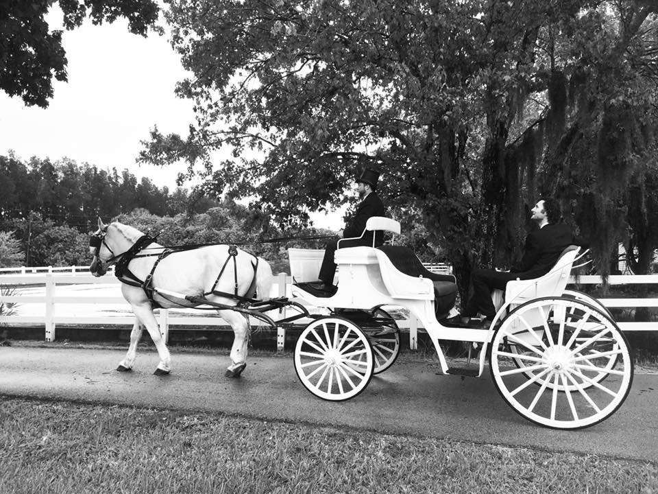 Riverside Carriage Company | 1393 Martin Rd, Rockledge, FL 32955, USA | Phone: (321) 917-8752