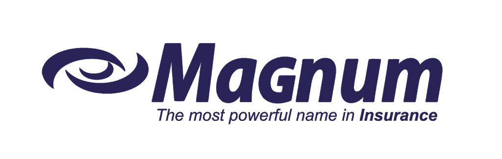 Magnum Insurance Agency | 2250 E Devon Ave Suite 329, Des Plaines, IL 60018, USA | Phone: (888) 539-2102