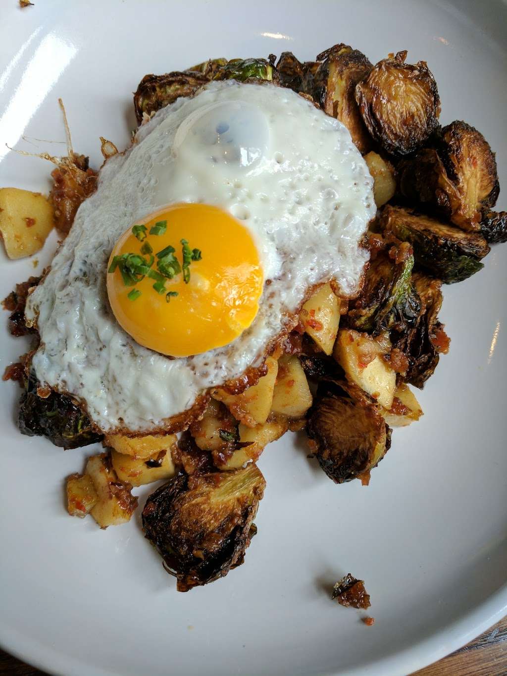 One Shot Cafe | 217 W George St, Philadelphia, PA 19123, USA | Phone: (215) 627-1620 One Shot Cafe | 217 W George St, Philadelphia, PA 19123, USA | Phone: (215) 627-1620