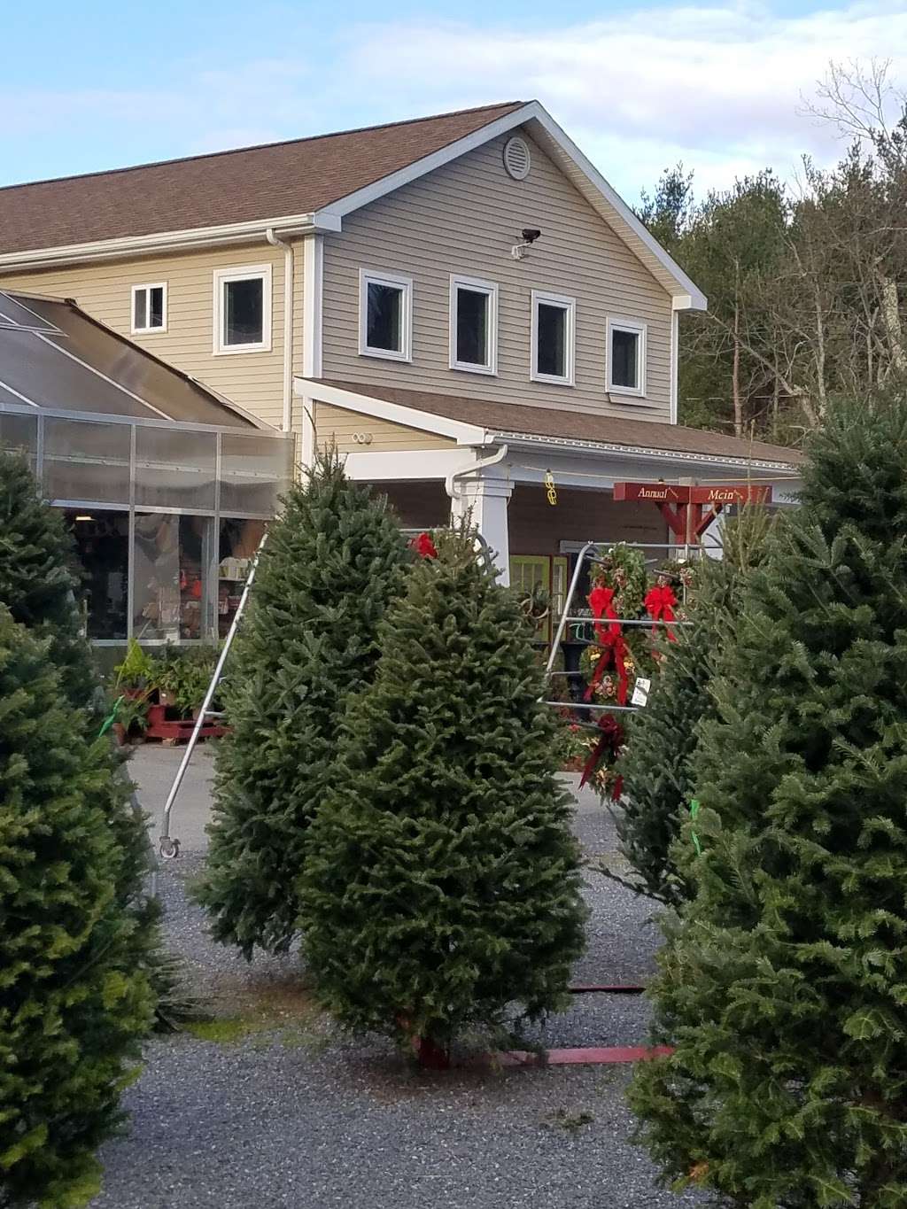 New England Nurseries Inc | 216 Concord Rd, Bedford, MA 01730 | Phone: (781) 275-2525