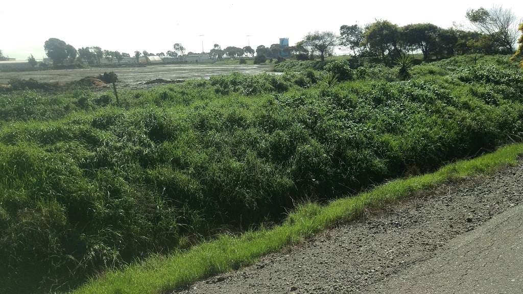 Hayward Regional Shoreline | 2639 Grant Ave, San Lorenzo, CA 94580, USA