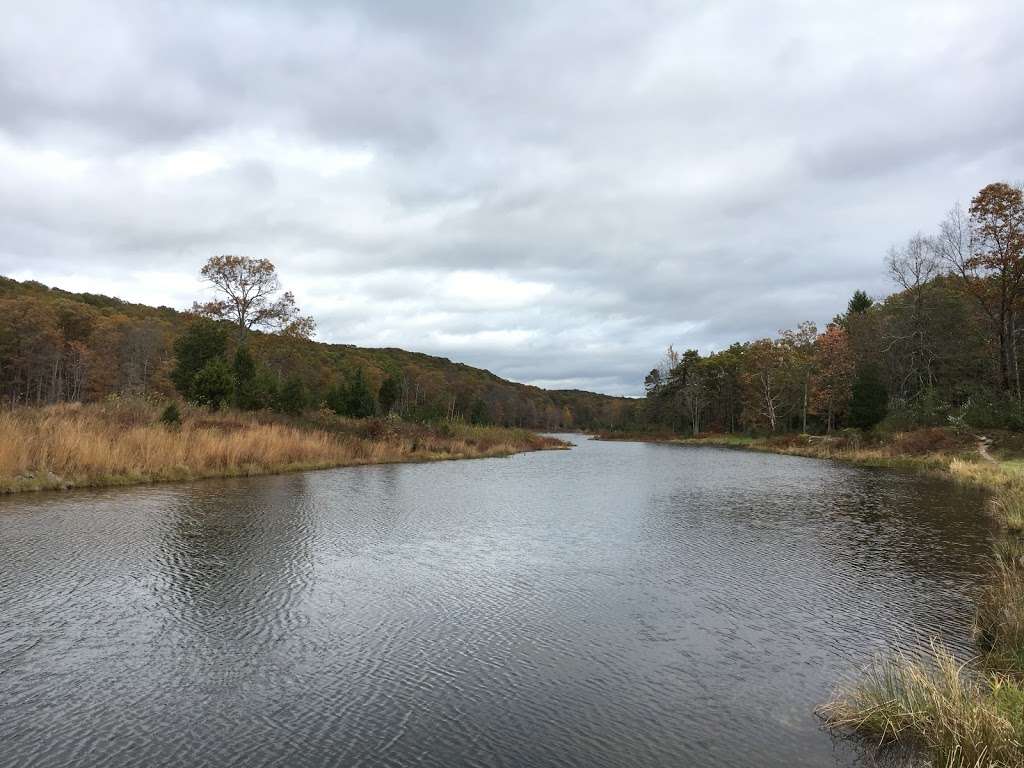 Blue Mountsin Lakes Parking Lot | Sandyston, NJ 07851