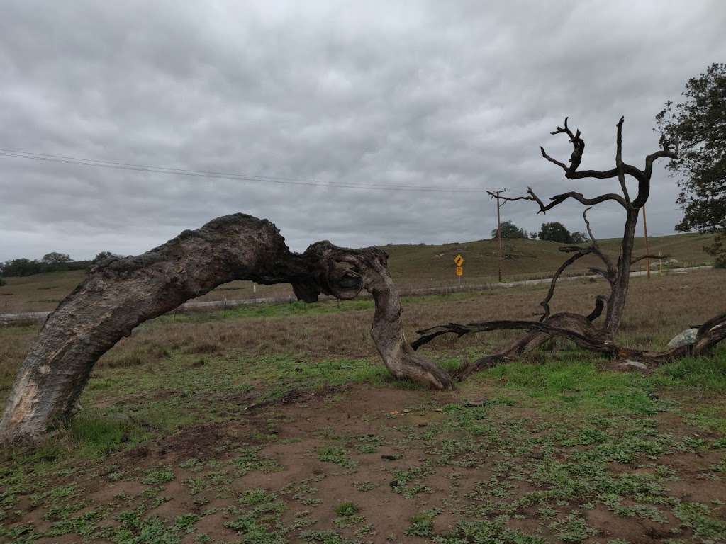 Sylvan Meadows Trail Head | Murrieta, CA 92562, USA