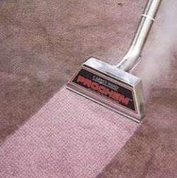 Able Carpet Cleaners | 47 Denby Grange, Harlow CM17 9PZ, UK | Phone: 07798 710668