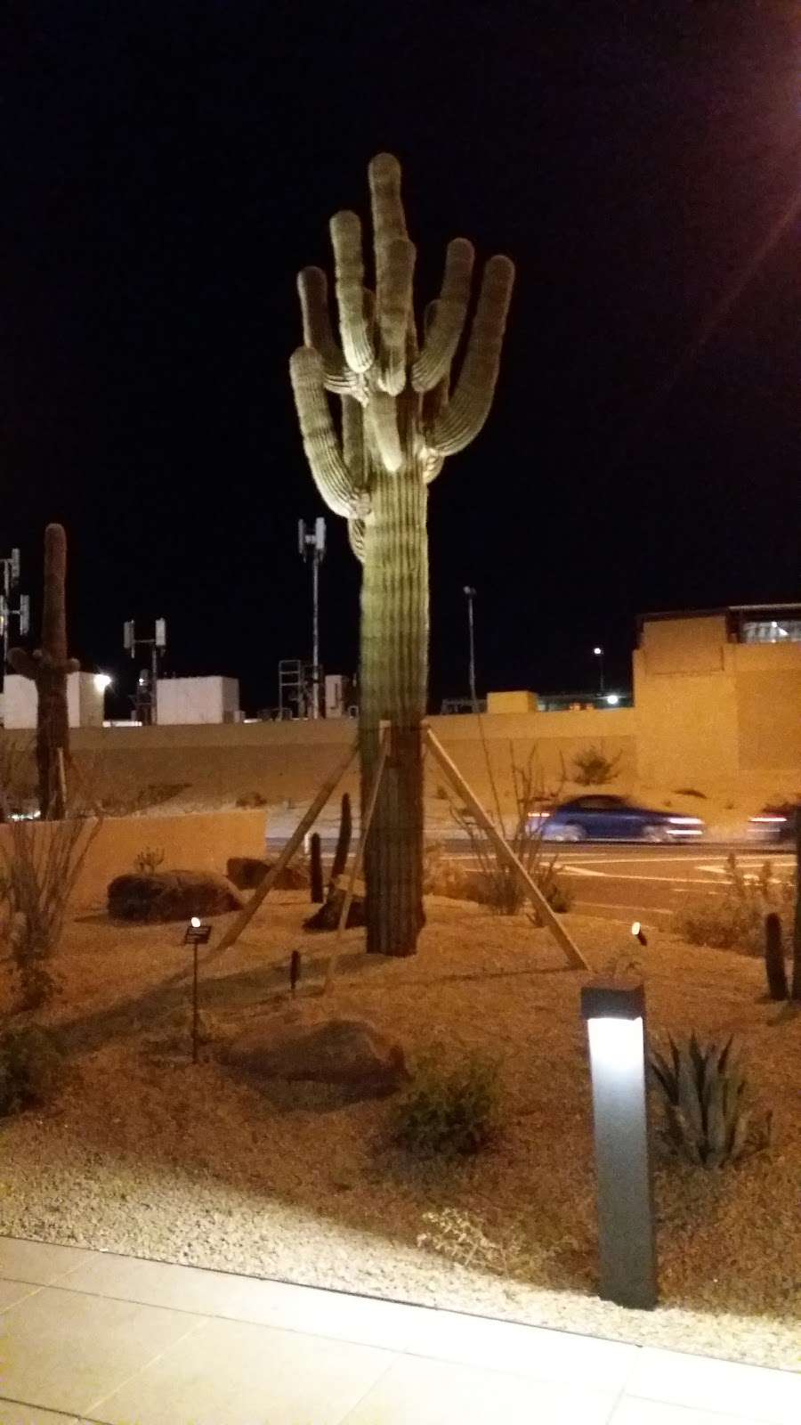 Sky Harbor Term 2 | Phoenix, AZ 85034, USA