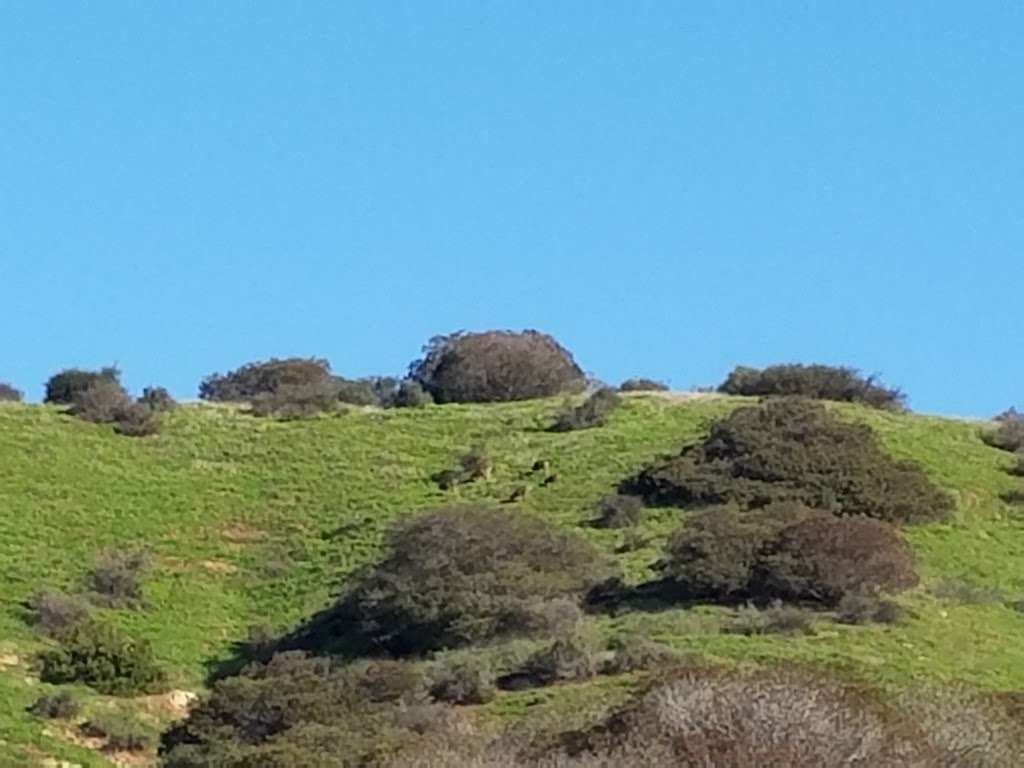 Claremont Hills Wilderness Park | 2575, 2599 N Indian Hill Blvd, Claremont, CA 91711