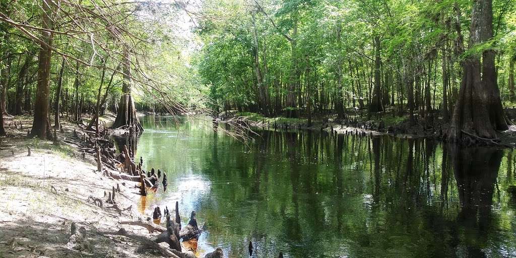 Richloam Wildlife Management Area | Webster, FL 33597, USA | Phone: (352) 732-1225