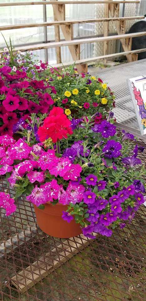 Bennett Farms Garden Center | 27720 Ocean Gateway, Hebron, MD 21830 | Phone: (410) 546-5232