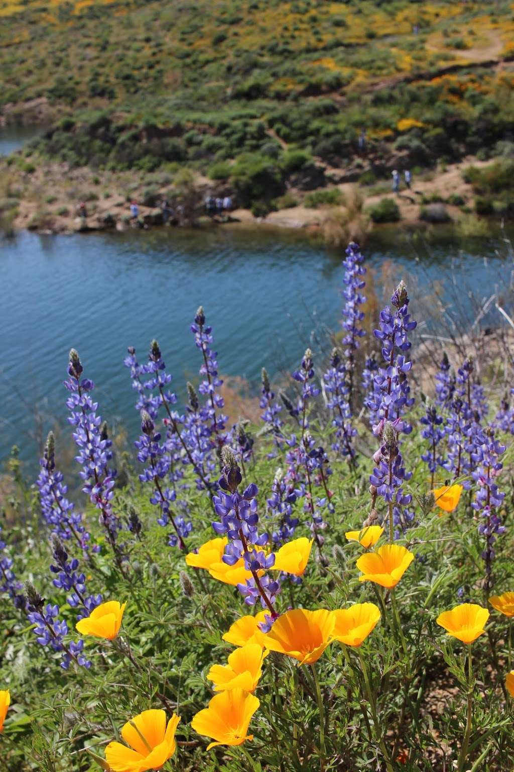 Diamond Valley Lake Lookout | Hemet, CA 92545, USA