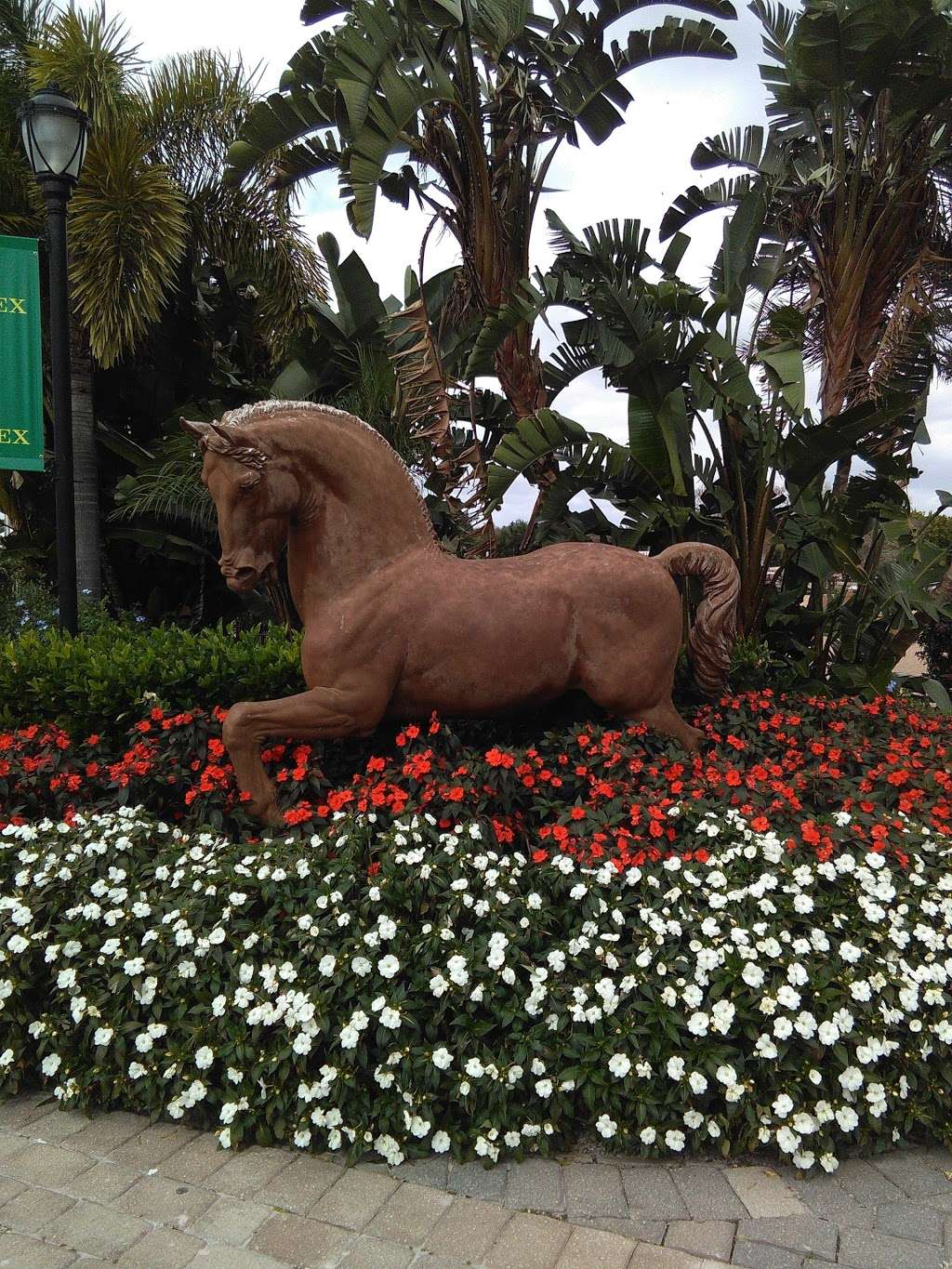 Equine Dentistry Vincent Ferry | The Acreage, Loxahatchee, FL 33470, USA | Phone: (305) 244-0678