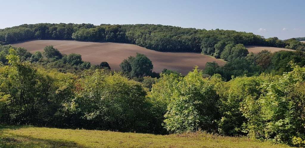 Great Church Wood Nature Reserve | Woldingham, Caterham CR3 7JG, UK