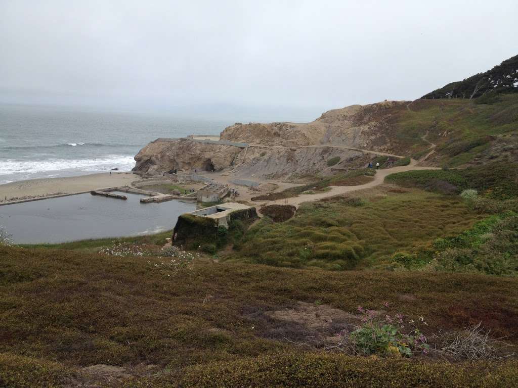 Balboa Natural Area | N.E. Balboa & Great Highway, San Francisco, CA 94121, USA | Phone: (415) 831-6331