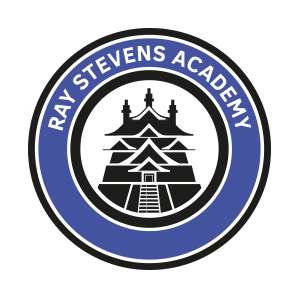 Ray Stevens Academy | 253 Burlington Rd, New Malden KT3 4NE, UK | Phone: 07552 774111