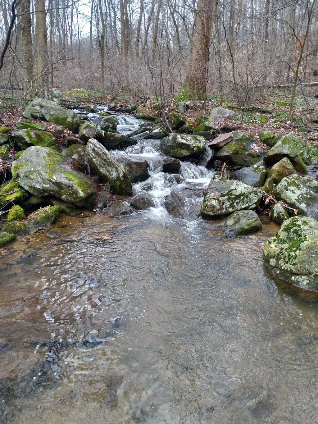 Texter Mountain Preserve | 78-198 Deer Rd, Robesonia, PA 19551 | Phone: (717) 392-7891