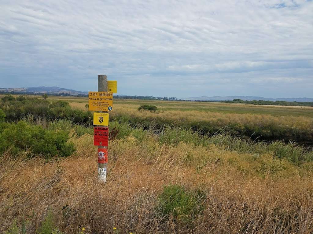 Fagan Marsh State Marine Park | Napa, CA 94558, USA