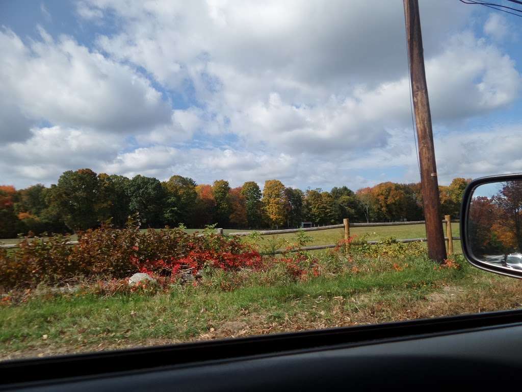 Sudbury Valley Trustees- Hop Brook Natural Area | 933 Grove St, Framingham, MA 01701, USA | Phone: (978) 443-5588