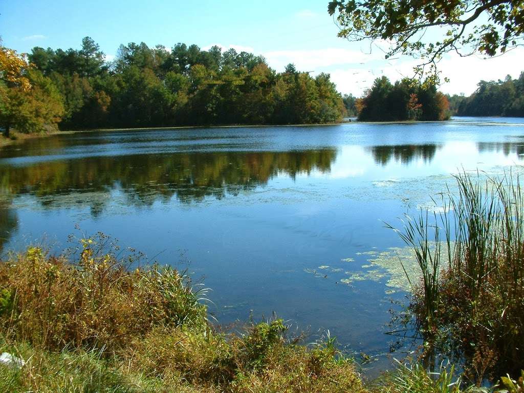 Abbotts Mill Nature Center of Delaware Nature Society | 15411 Abbotts Pond Rd, Milford, DE 19963, USA | Phone: (302) 422-0847