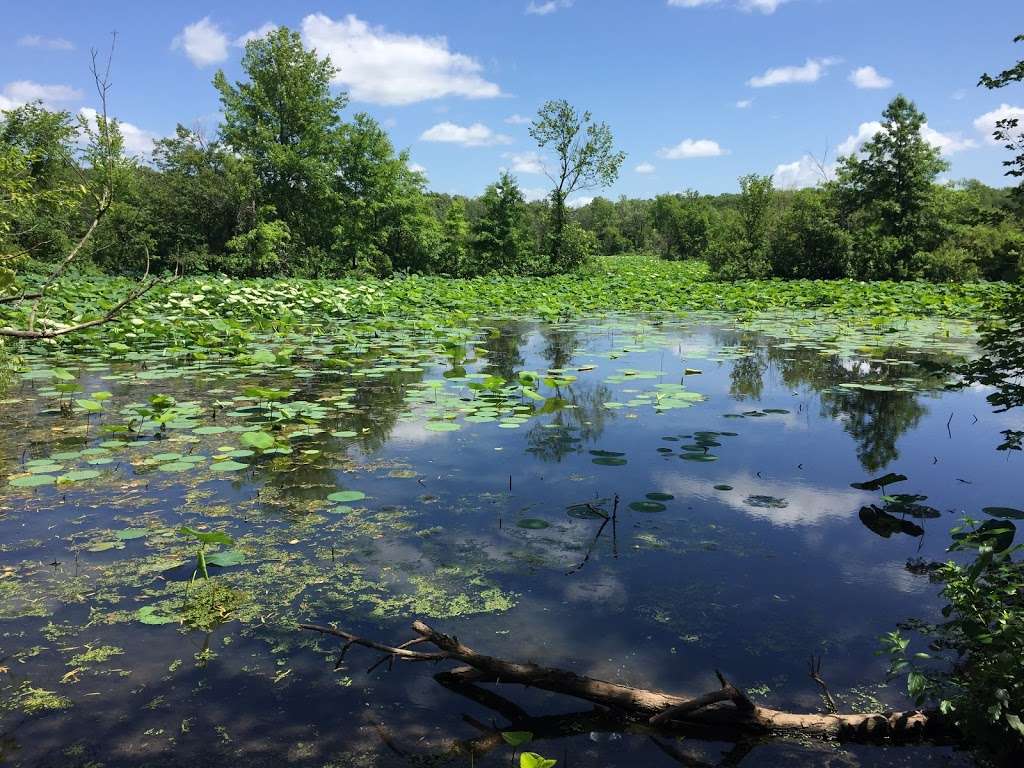 Bittern Bottoms Conservation Area | Harrisonville, MO 64701, USA | Phone: (816) 622-0900