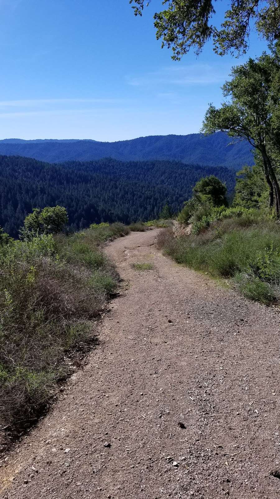 Hickory Oaks Trail | Los Gatos, CA 95033, USA