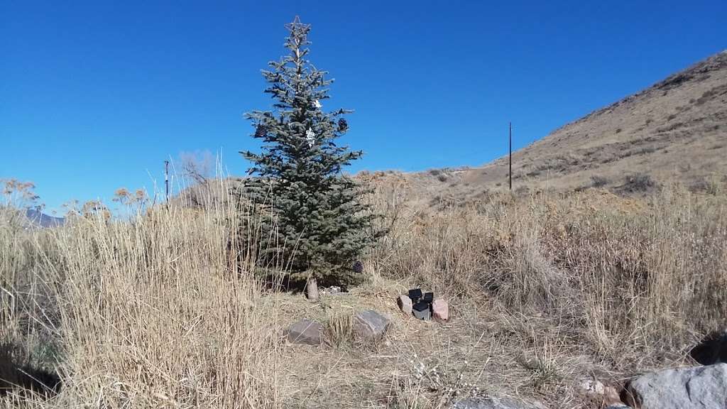 Treks Tree | 486 Wyoming Cir, Golden, CO 80403