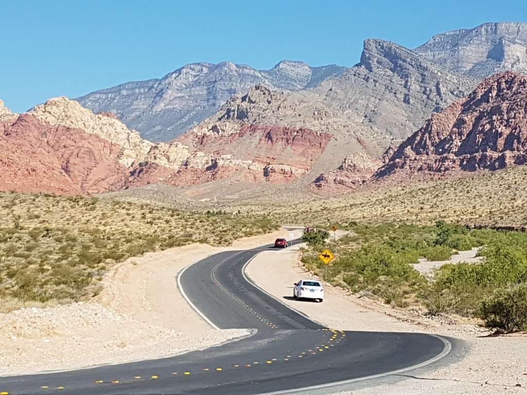 Red Rock Canyon National Conservation Area | 1000 Scenic Loop Dr, Las Vegas, NV 89161, USA | Phone: (702) 515-5350