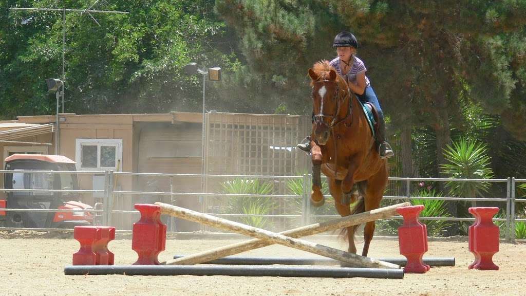 Chelsfield Riding Stable | Capistrano Barn #62, Sycamore Trails, 26282 Oso Road, San Juan Capistrano, CA 92675, USA | Phone: (949) 233-1722