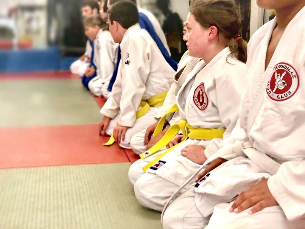 Yorkville Judo Club | 101 S Bridge St, Yorkville, IL 60560, USA | Phone: (630) 553-7228