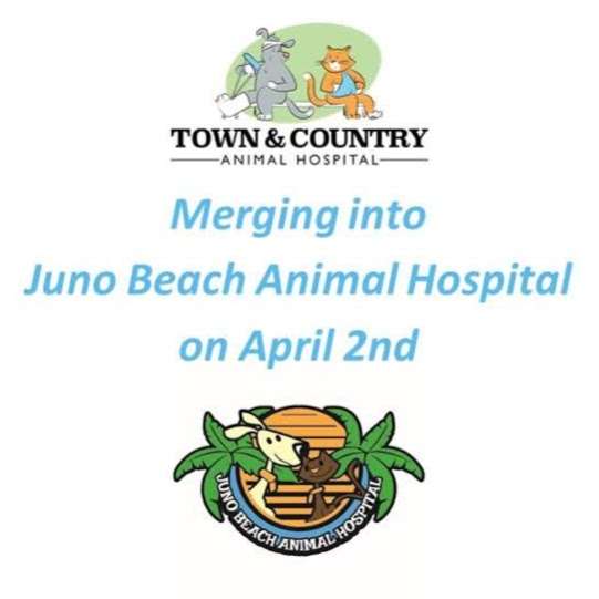 Town & Country Animal Hospital: Dr. Mark P. South | 11788 US-1, Palm Beach Gardens, FL 33408, USA | Phone: (561) 626-1233