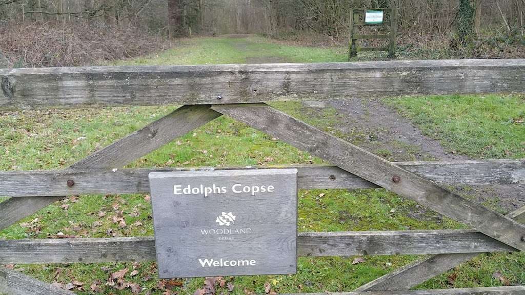 Edolphs Copse | 0EP, Stan Hill, Horley RH6 0EP, UK