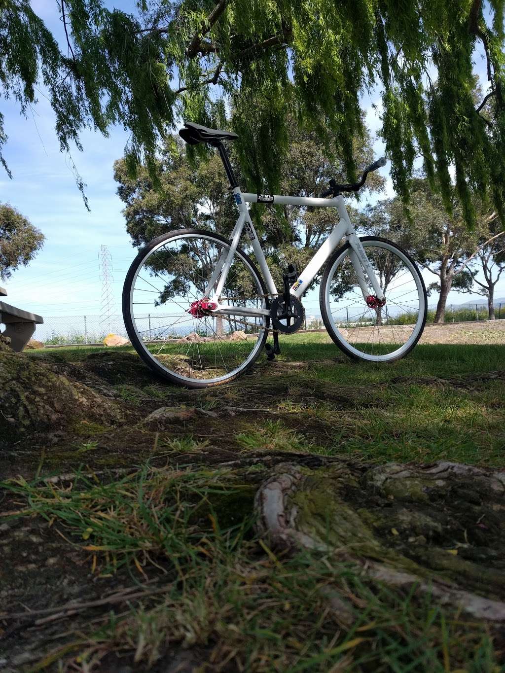 Coyote Lagoon at Don Edwards | Landing Rd, Fremont, CA 94538