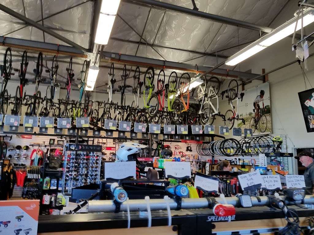 Roaring Mouse Cycles | 934 Mason St, San Francisco, CA 94129 | Phone: (415) 753-6272