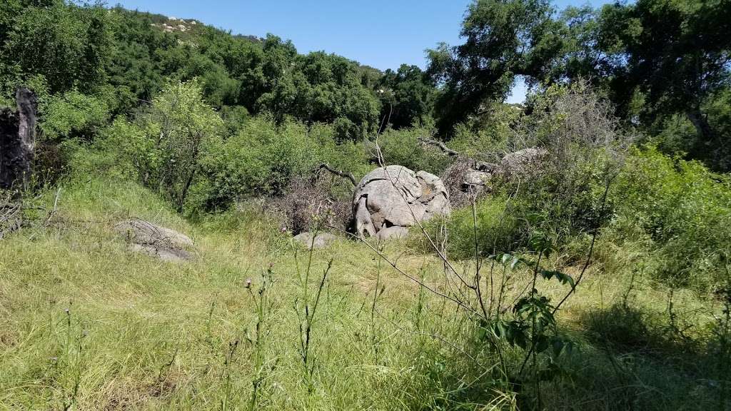 Oak Oasis County Preserve | Wildcat Canyon Rd, Lakeside, CA 92040, USA