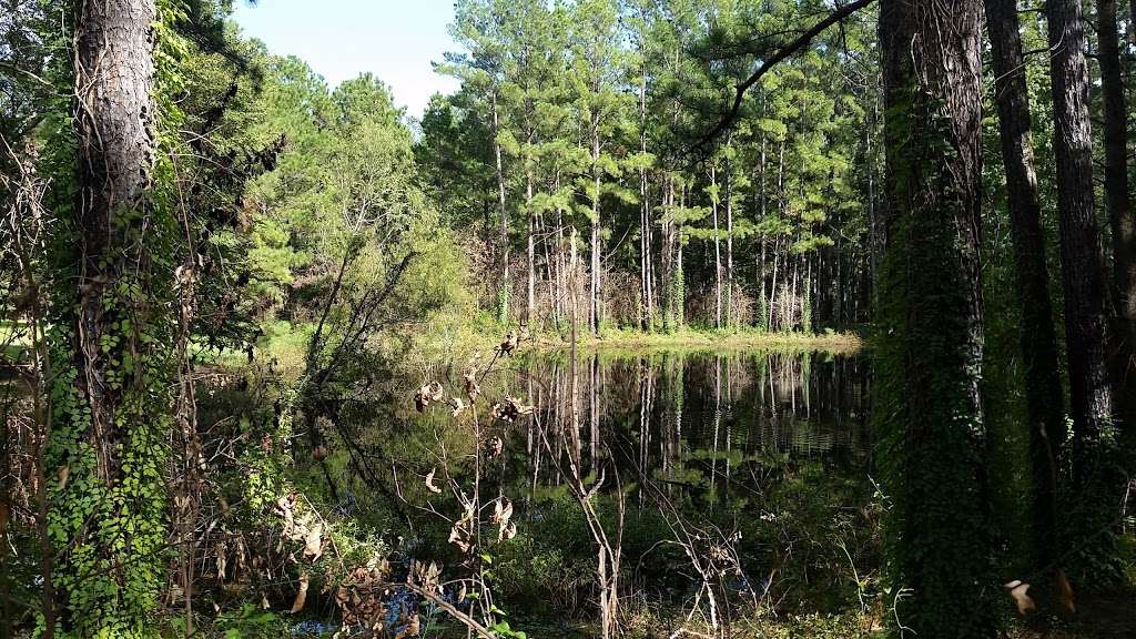 Sam Houston National Forest Multi-Use Trail West Parking | Kellys Pond Rd, Montgomery, TX 77356 | Phone: (936) 344-6205