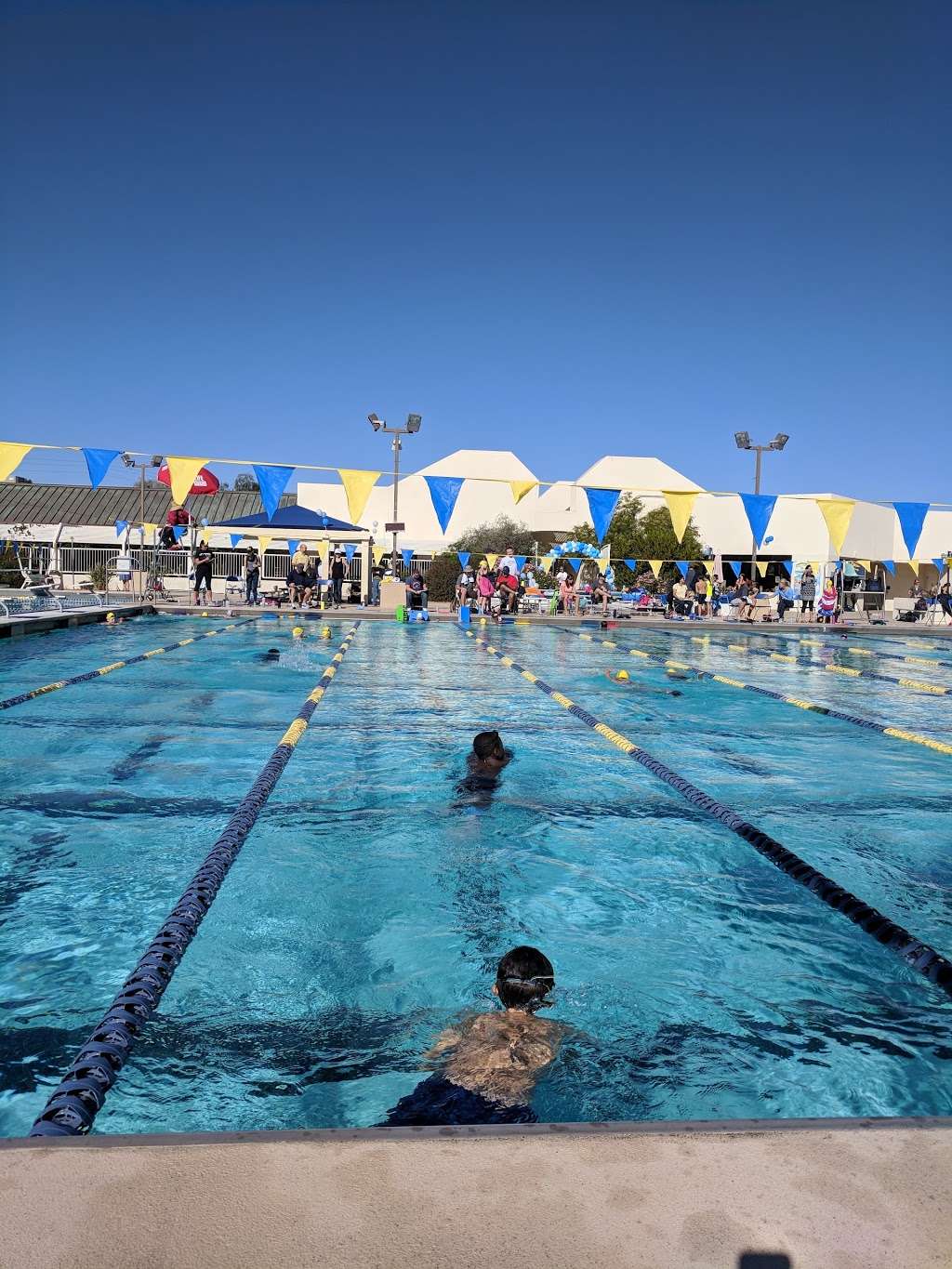 Scottsdale Aquatic Club | 7202 E Cactus Rd, Scottsdale, AZ 85260, USA | Phone: (480) 951-5368