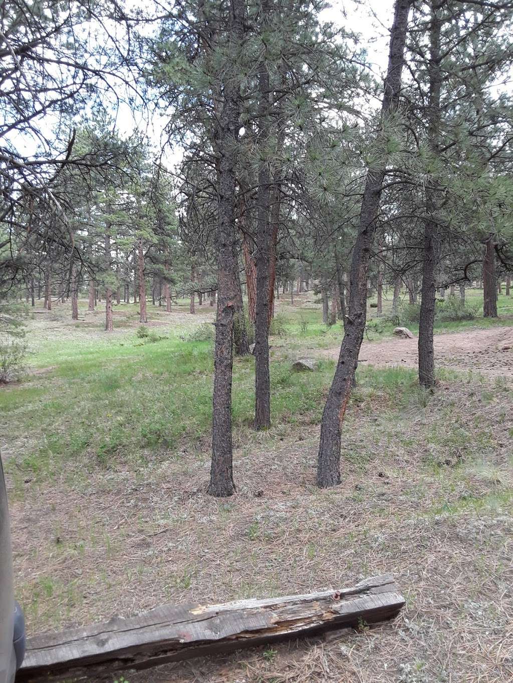 Buffalo Campground | Forest Rd 550, Pine, CO 80470 | Phone: (303) 275-5610