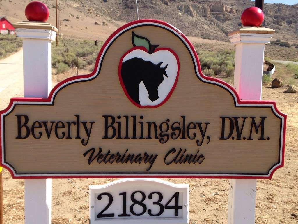 Billingsley Veterinary Clinic | 21834 Ferncuko St, Tehachapi, CA 93561, USA | Phone: (661) 823-8381