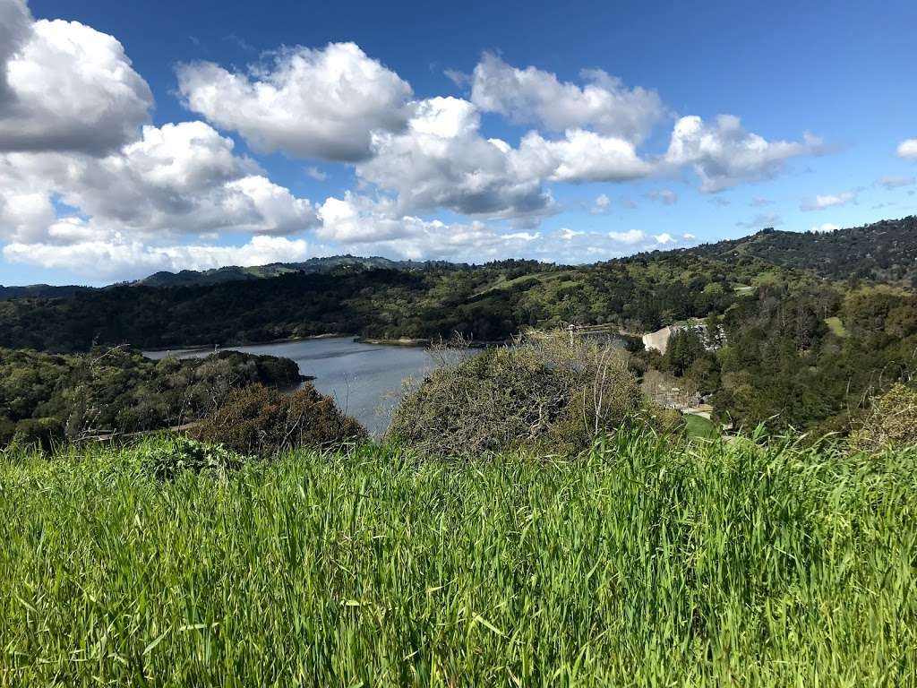 Lafayette Reservoir Recreation Area | 3849 Mt Diablo Blvd, Lafayette, CA 94549, USA | Phone: (925) 284-9669