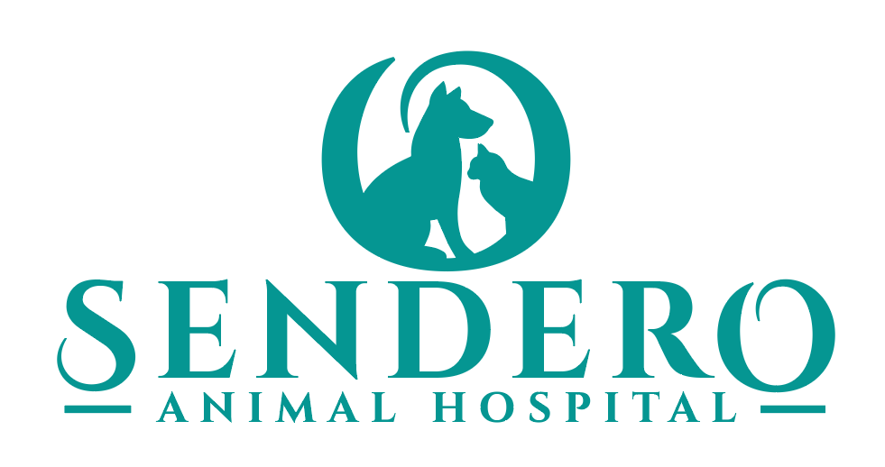 Sendero Animal Hospital | 30703 Gateway Pl, Ladera Ranch, CA 92694, USA | Phone: (949) 226-5597