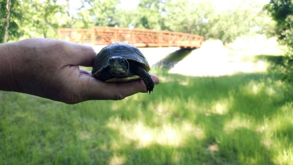 Buckeye Greenway | Kansas City, MO 64117, USA