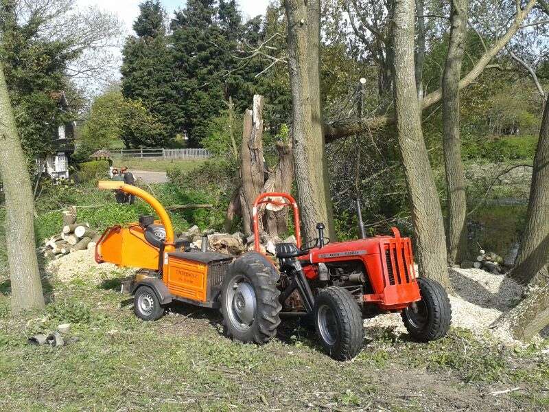 Lewis Tree Care | Gore Ln, Ware SG11 1BH, UK | Phone: 0800 028 9077