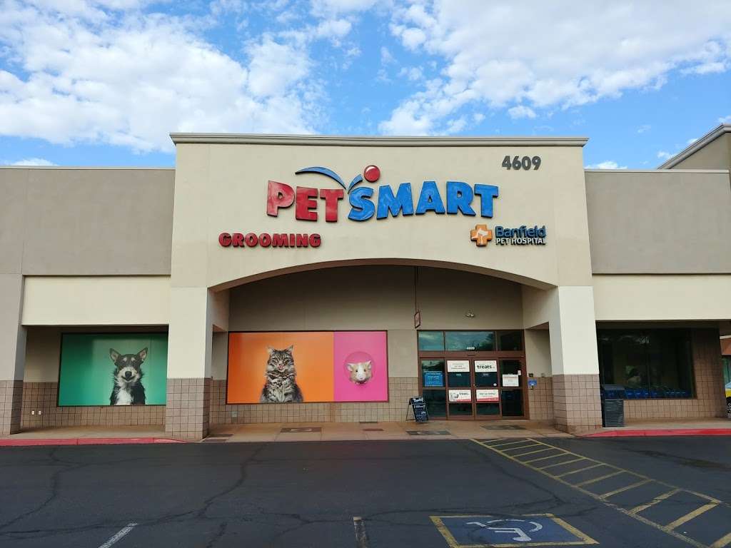 PetSmart | 4609 E Ray Rd, Phoenix, AZ 85044, USA | Phone: (480) 718-6882