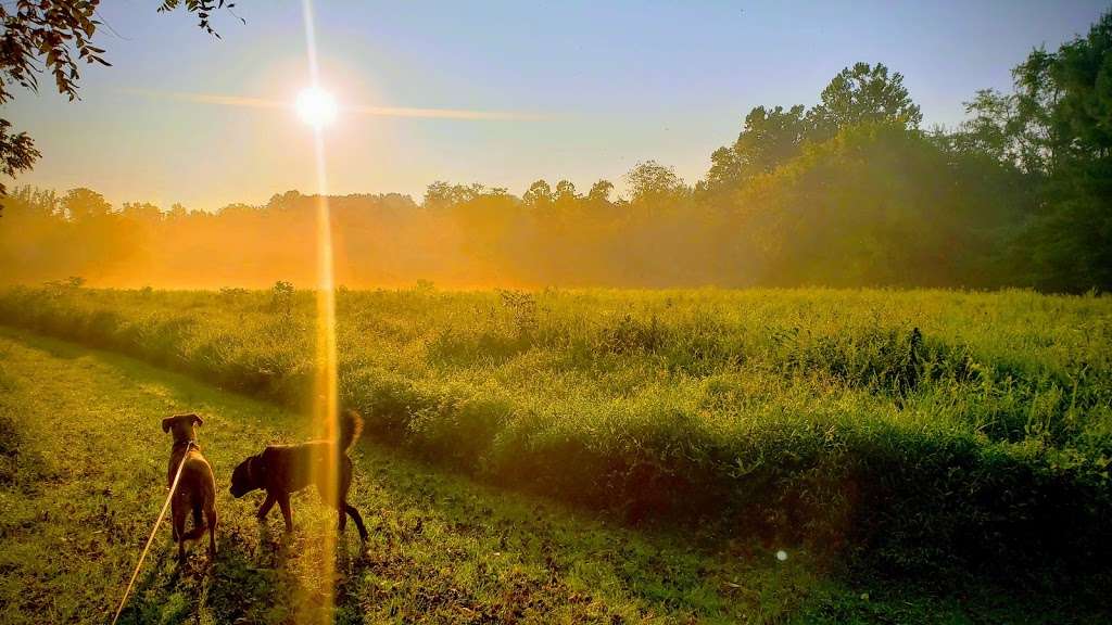 Cool Valley Preserve | Cool Valley Rd, Malvern, PA 19355, USA