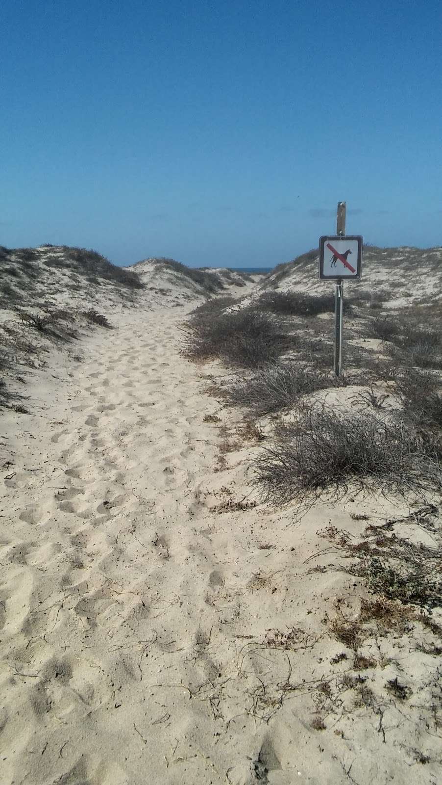 Santa Clara Estuary Natural Preserve | Oxnard, CA 93036, USA