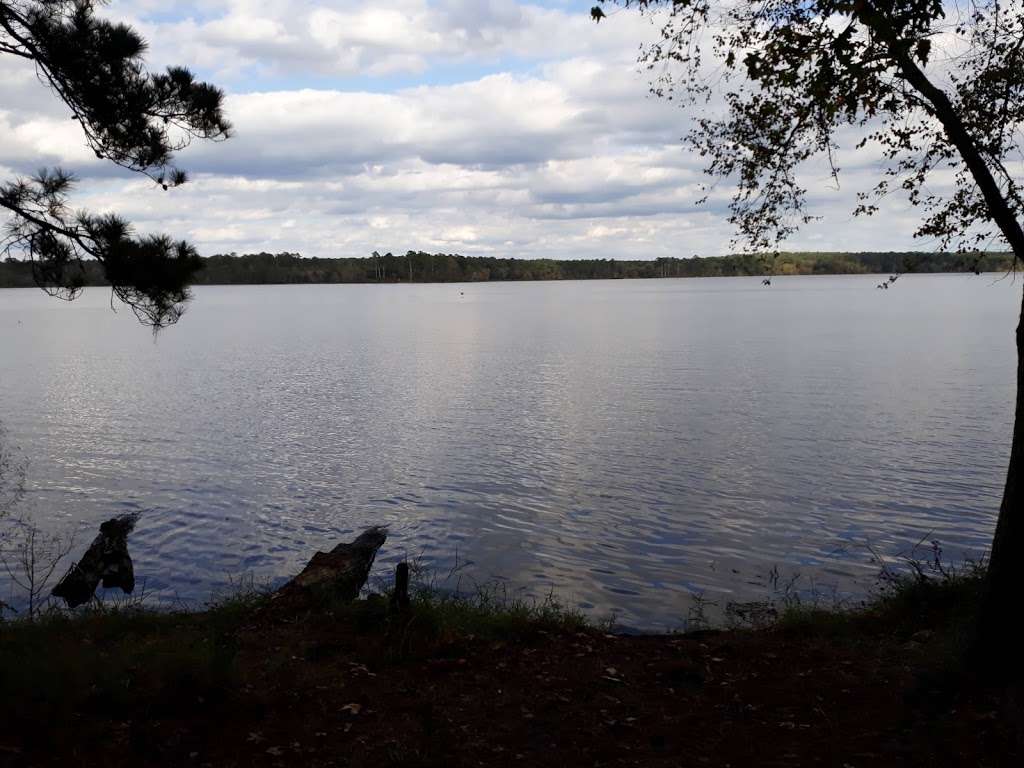 Walk In Camp Sites | Lone Star Hiking Trail, Montgomery, TX 77356, USA