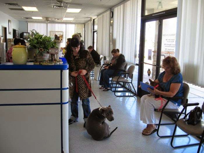 VCA Black Mountain Animal Hospital | 400 College Dr A, Henderson, NV 89015, USA | Phone: (702) 565-6558