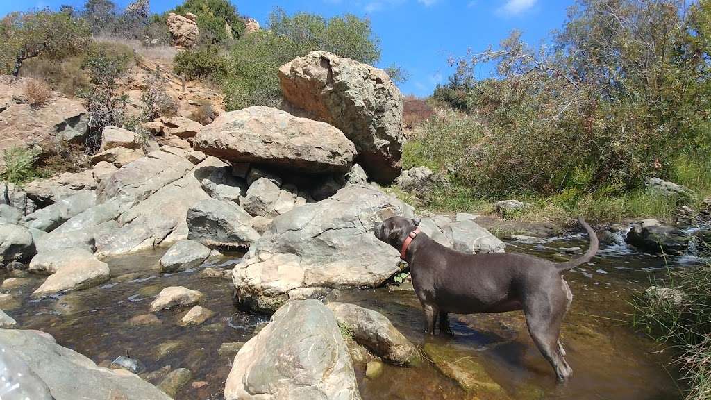 Penasquitos Creek Waterfall | Penasquitos Creek Falls, San Diego, CA 92121, San Diego, CA 92121, USA