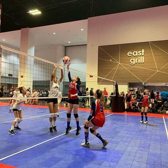 Legacy Volleyball of Tampa | 9791 Westchase Dr, Tampa, FL 33626, USA | Phone: (813) 777-7028