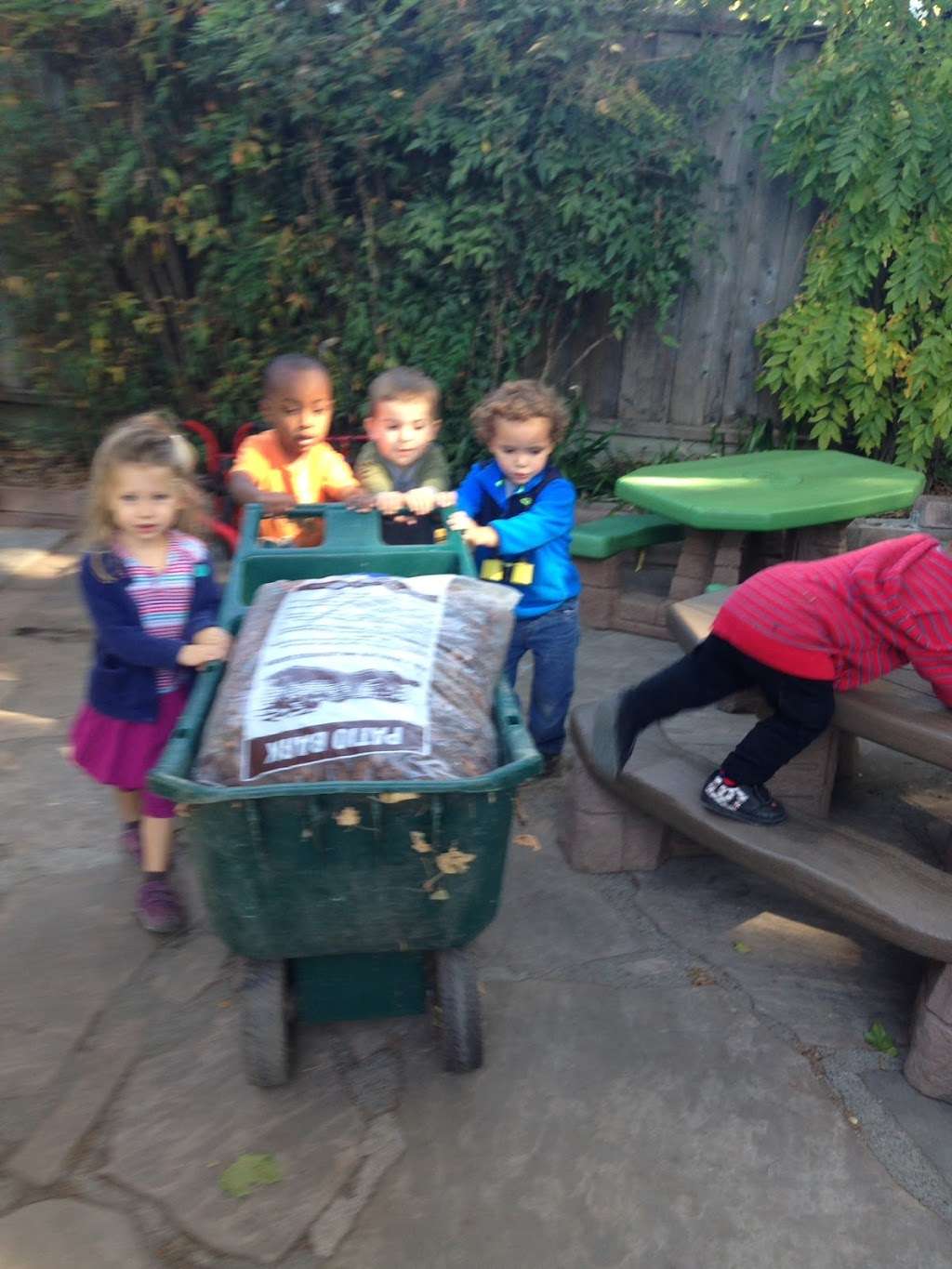 Carolynns Montessori for Toddlers | 1704 Annetta Dr, Petaluma, CA 94954, USA | Phone: (707) 769-7921