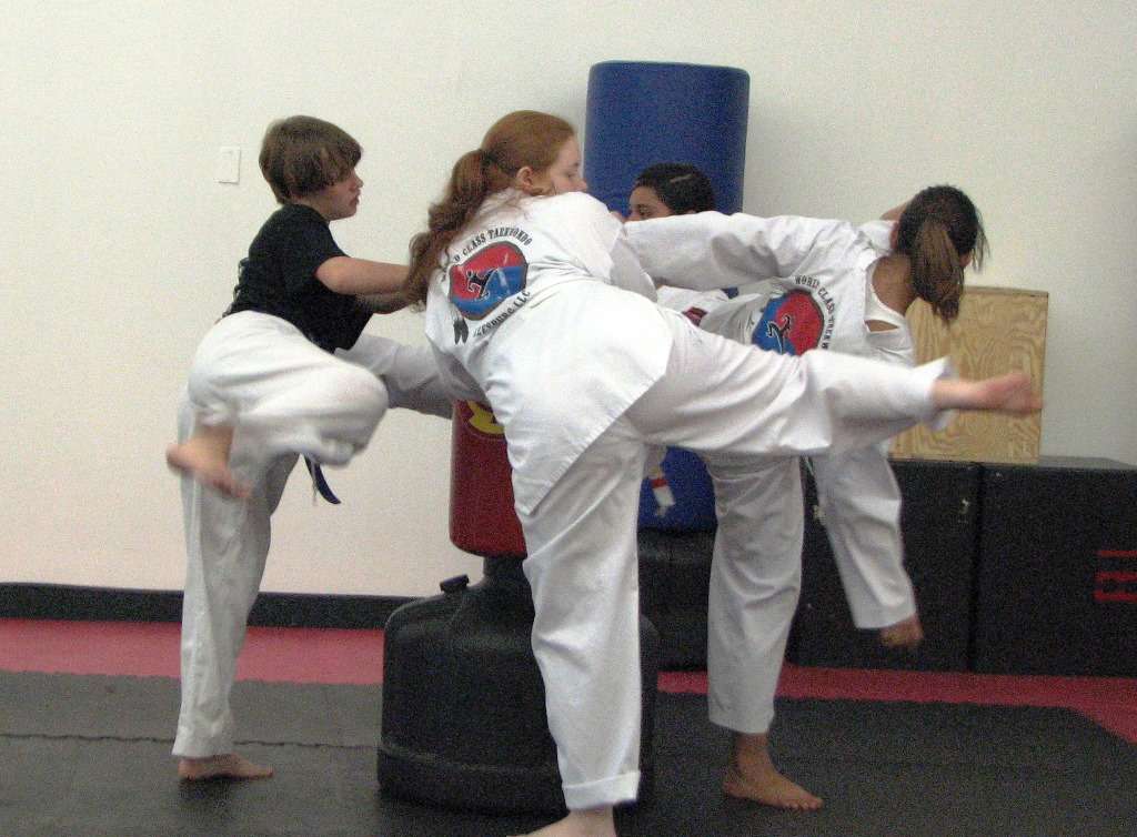 Martial Arts of Leesburg LLC | 1333 S 14th St, Leesburg, FL 34748, USA | Phone: (352) 217-1953